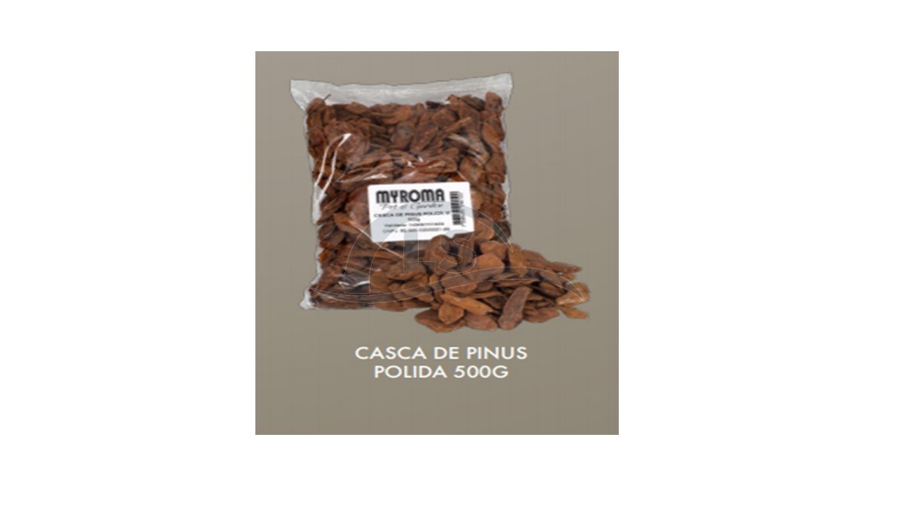 CASCA DE PINUS PARA DECORAÇÃO