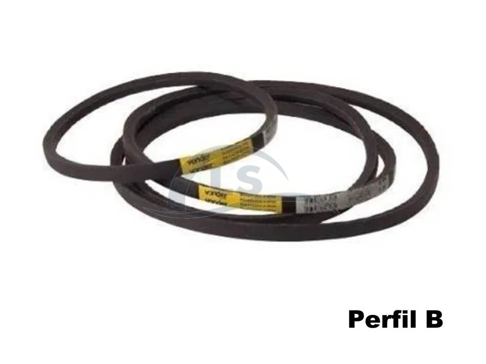Correia B - 97