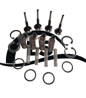 Reparo Bomba Hidráulica 2 Câmaras Trator Massey Ferguson Linha 200