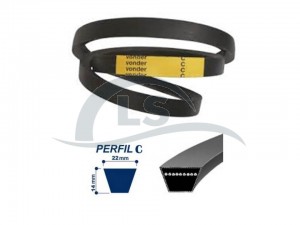 Correia C - 64