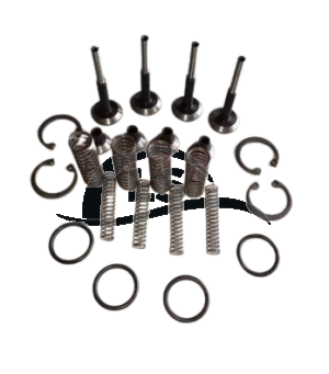 Reparo Bomba Hidráulica 2 Câmaras Trator Massey Ferguson Linha 200