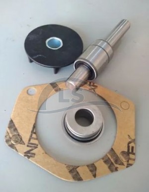 Reparo Bomba D'Água - Tratores Massey Ferguson Motor Perkins 3152