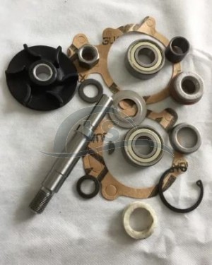 Reparo Da Bomba D´água C/ Rolamento - Trator Massey Ferguson 4275