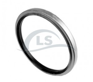 Retentor do Cubo de Roda Dianteiro Carraro Trator New Holland 