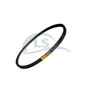 Correia A  - 33