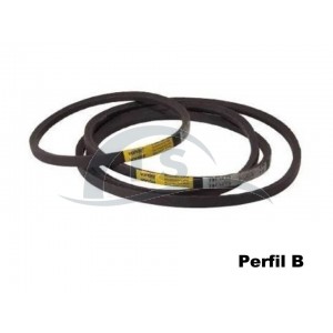 Correia B - 81