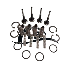 Reparo Bomba Hidráulica 2 Câmaras Trator Massey Ferguson Linha 200