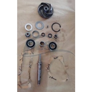 Reparo Bomba D'agua Indisa Com Rolamento - Motor Perkins 6354 6CC