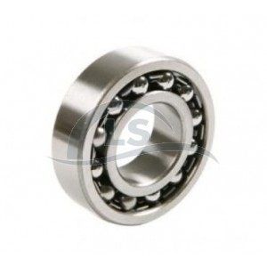 Rolamento R1203